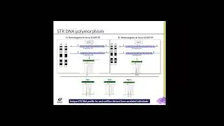 Do You Trust Your Cells? STR Profiling for Human Cell Line Authentication Webinar