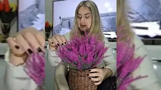 Kanal ZOV PRIRODE  prenosi stream uživo!