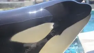 𝐋𝐨𝐯𝐞 𝐬𝐨𝐧𝐠 - 𝑻𝒆𝒏 𝒚𝒆𝒂𝒓𝒔 🤍
