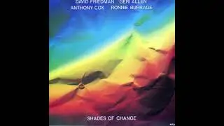 David Friedman, Geri Allen, Anthony Cox, Ronnie Burrage - The Search