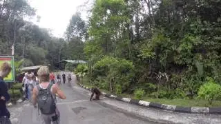 Gap Year in one video ...