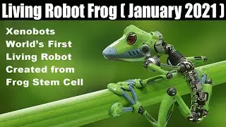 Living Robot Frog (Jan 2021) What Is The Biological Machine All About? Watch! | Scam Adviser Reports
