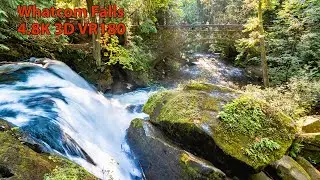 Whatcom Falls Park (Bellingham, WA) - 4.8K 3D VR180