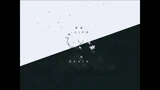 Life and Death Live wallpaper