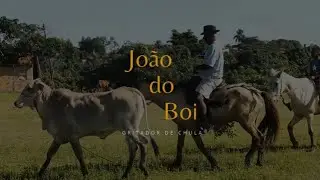 Jo&atilde;o do Boi Gritador de Chula