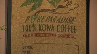 Channel 13 highlights Hawaiian coffee shop Hi Coffee Cafe for AAPI Heritage Month