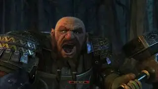 Lord of the Rings Online: Shadow of Angmar Introduction