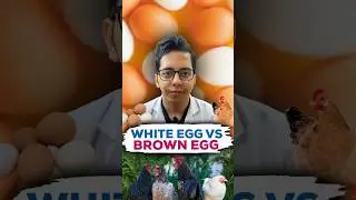 White Egg Vs Brown Egg | Which is more healthy ? | Dt.Bhawesh | #diettubeindia #dietitian #shorts