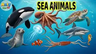 Sea Animals for Kids | Educational Videos for Kids | Learn Animals | Kids Learning Videos