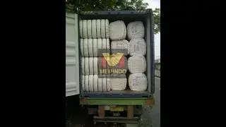 JAVA SILK COTTON  | KAPOK TREE