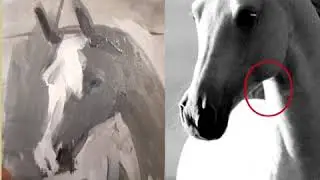 Pittura: il cavallo, in breve..
