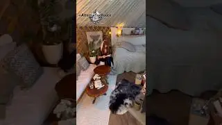 She is living full-time in this Mongolian Yurt