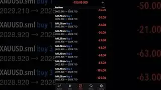 Ready, set, news drops the market reacts 🤑#BagItAndKeepIt