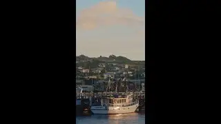 Bluff Oyster Festival, Southland, New Zealand