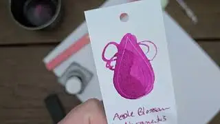 Apple Blossom Ink Review De Atramentis - Cabbage Patch Soap