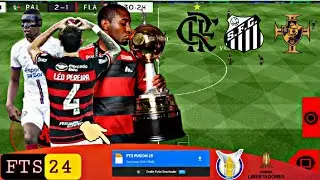 FTS 24 sul-americano Brasileir&atilde;o s&eacute;rie A B C SUB 20 libertadores {MEDIAFIRE}
