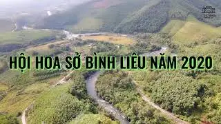 Hội Hoa Sở B&igrave;nh Li&ecirc;u năm 2020 #CCmedia