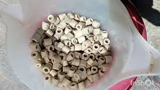 Dejamos secando el material filtrante biol&oacute;gico y esto pas&oacute;...