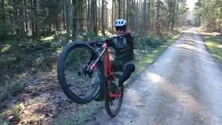 Orbea Wild FS