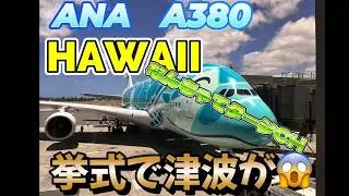 なんちゃってターシーHawaiiへ