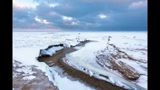 Sub-Zero Photography at Indiana Dunes