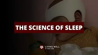 Sleep Series - The Science of Sleep | Living Well at Texas A&M University