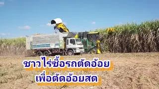 ชาวไร่ซื้อรถตัดอ้อยเพื่อตัดอ้อยสด EP 14/69