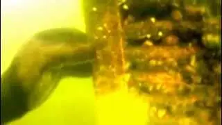 Inspection of fish protection structure / Осмотр рыбзащиты