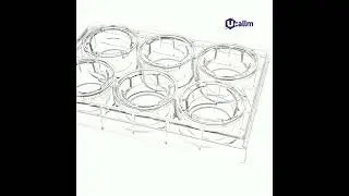 T2306 6 Well Cell Culture Insert PET 3.0&mu;m Clear