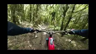 Caerphilly hidden trails