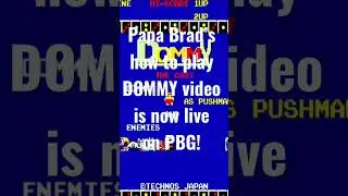 Papa Brad&rsquo;s how to play DOMMY on iiRcade video is now live on PBG!