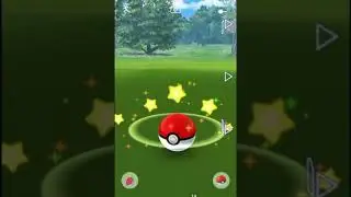 Catching Shundo ✨ Shinx Pokemon Go