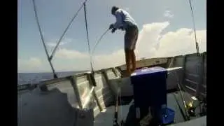 Reef Rage Pt 1