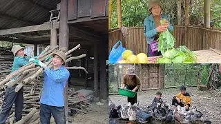 Harvesting vegetables to sell and helping her ex-husband clean his new house. DANG THI DU 