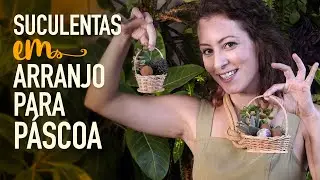 Crie arranjos de PÁSCOA com SUCULENTAS