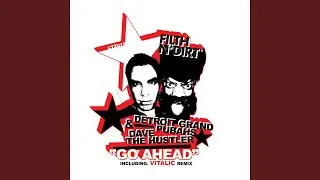 Go ahead (Vitalic garage mix)