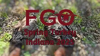 Spring Turkey 25