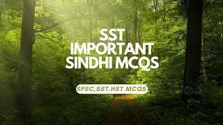 Sindhi MCQS for SST general category|Sindhi past paper|Shabana Nawaz official