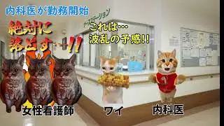 イケメン内科医無双事件【猫ミーム】【猫マニ】