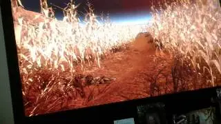 No fog on tranzit in theater mode