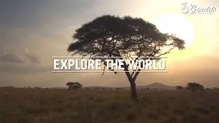 Goulds Travel | Travel Agency | Clearwater