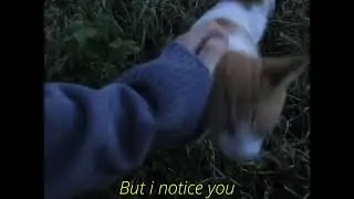 Through - Ilovecatgirls