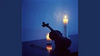 The Scent Is Gone