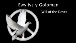 Ewyllys y Golomen (Will of the Dove) with English sub-titles