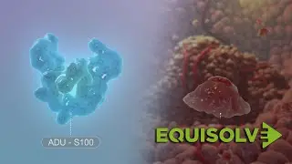 Biotech Video Production | Pharmaceutical MOA Video Production - Equisolve