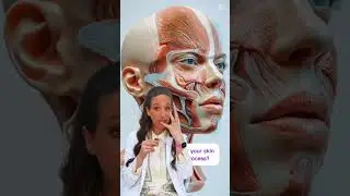How facial aging happens👀