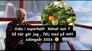 Odla i kallt klimat zon 7