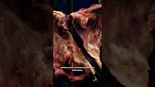 4 ARMAS HIST&Oacute;RICAS (Parte 2)
