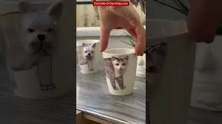 Product Link in Bio ( # 1220) @Everythin345archies  ✅ Jungle Brew Creative Ceramic Mugs