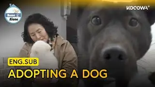 Kian84 & His Mom Visit A Dog Adoption Center! 🐶 | Home Alone EP628 | KOCOWA+